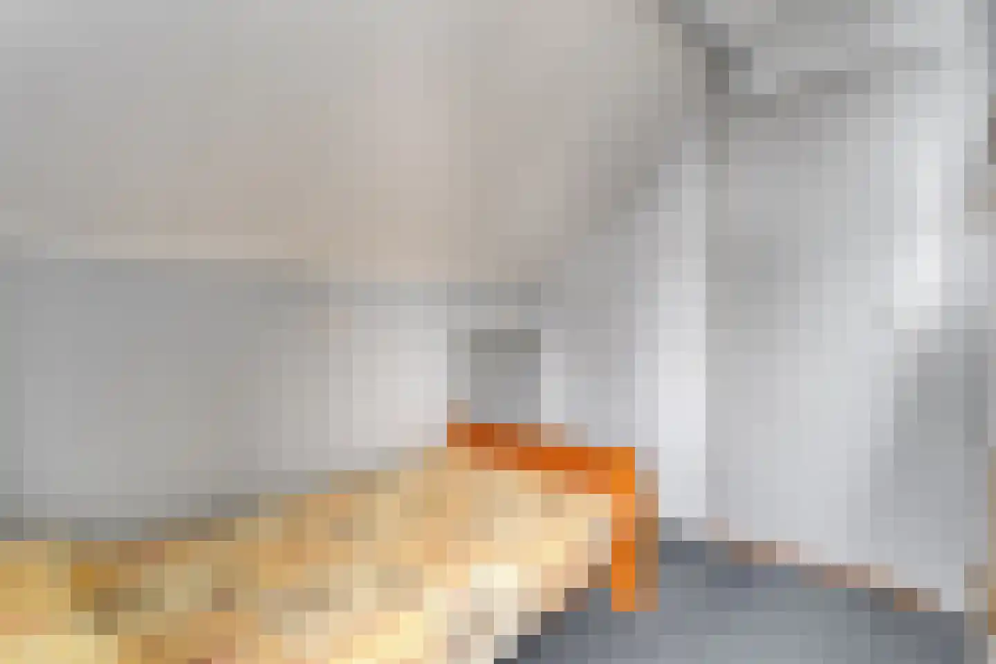 Berkenlaan 4 Hardenberg thumbnail 31