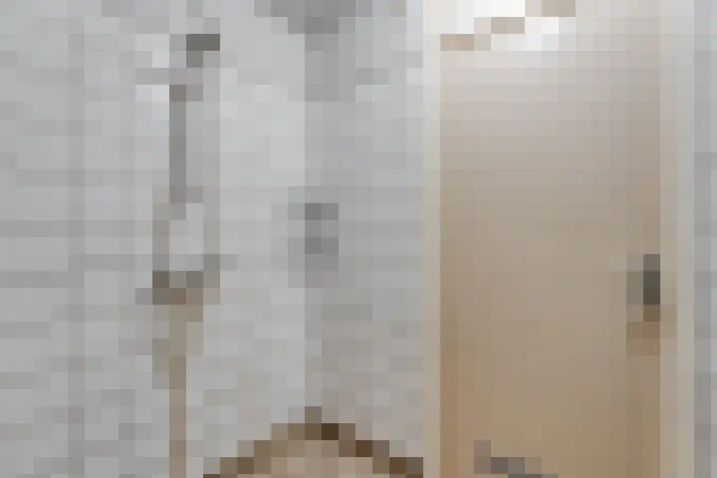 Berkenlaan 4 Hardenberg thumbnail 38