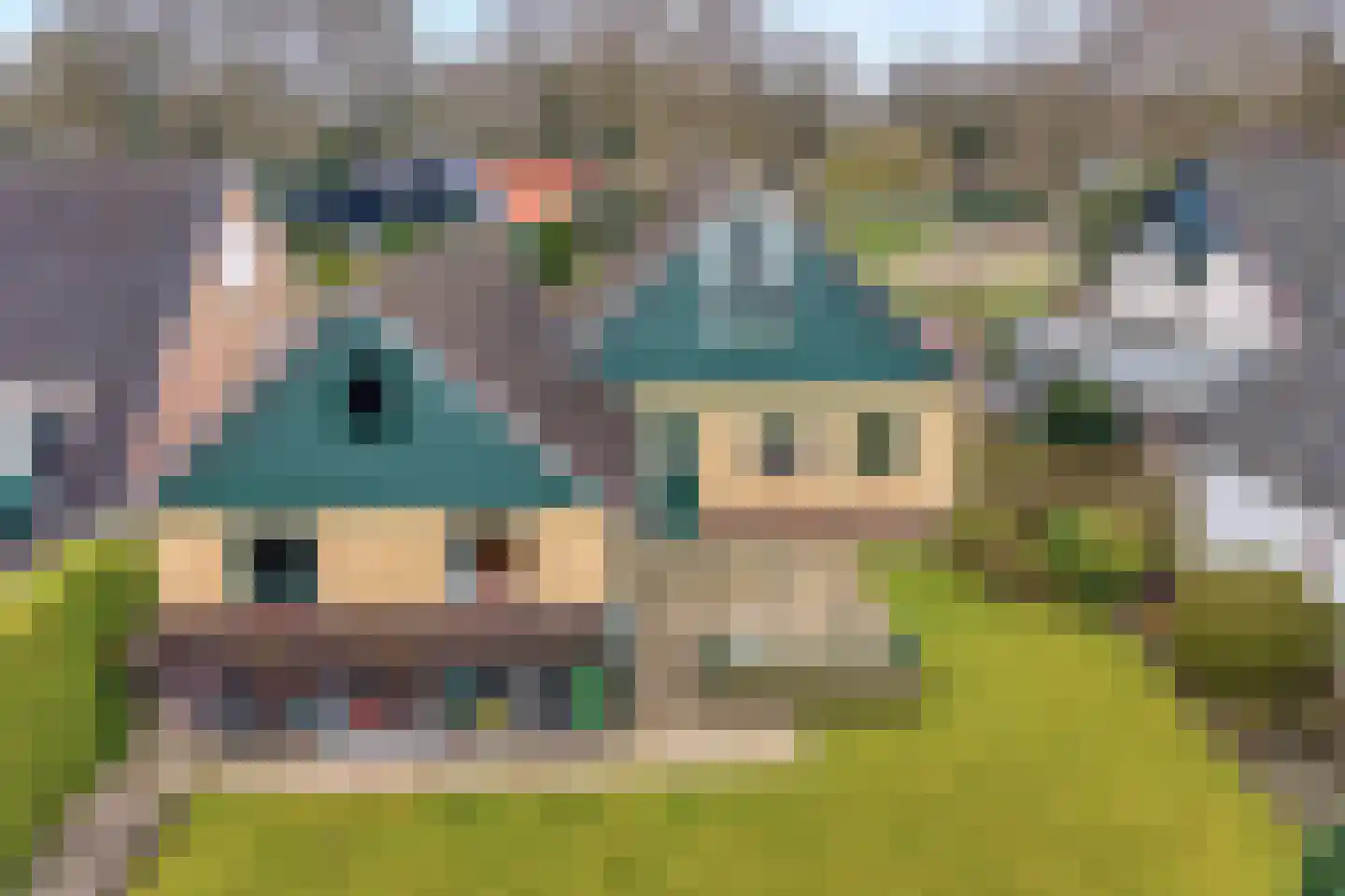 Berkenlaan 4 Hardenberg thumbnail 39