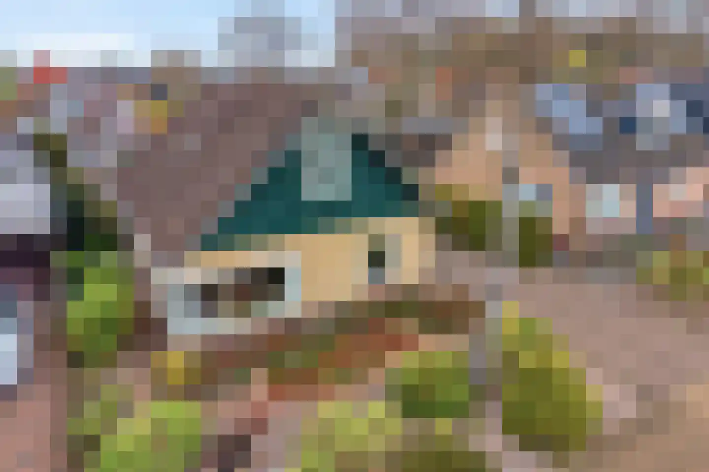 Berkenlaan 4 Hardenberg thumbnail 4