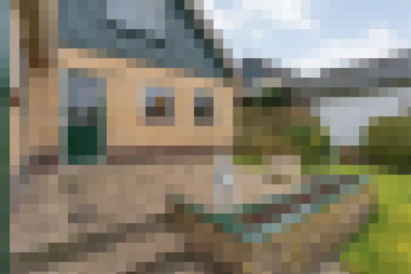 Berkenlaan 4 Hardenberg thumbnail 40