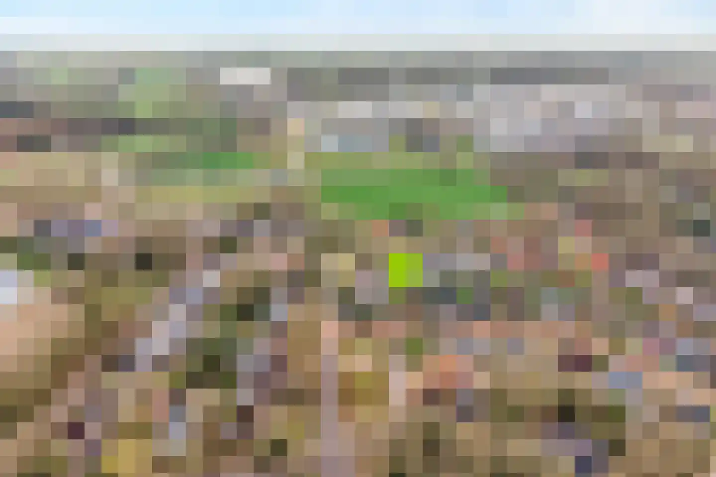 Berkenlaan 4 Hardenberg thumbnail 44