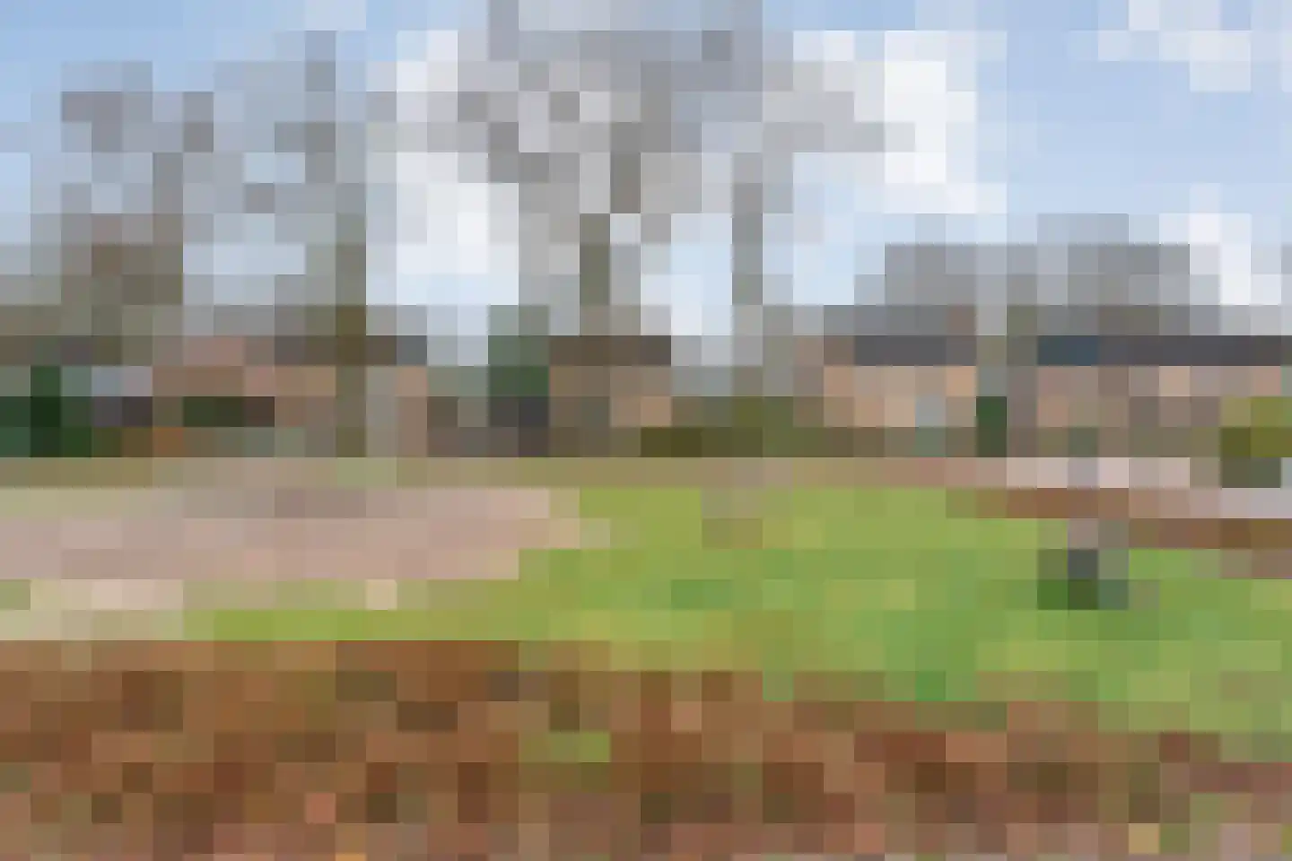 Berkenlaan 4 Hardenberg thumbnail 48