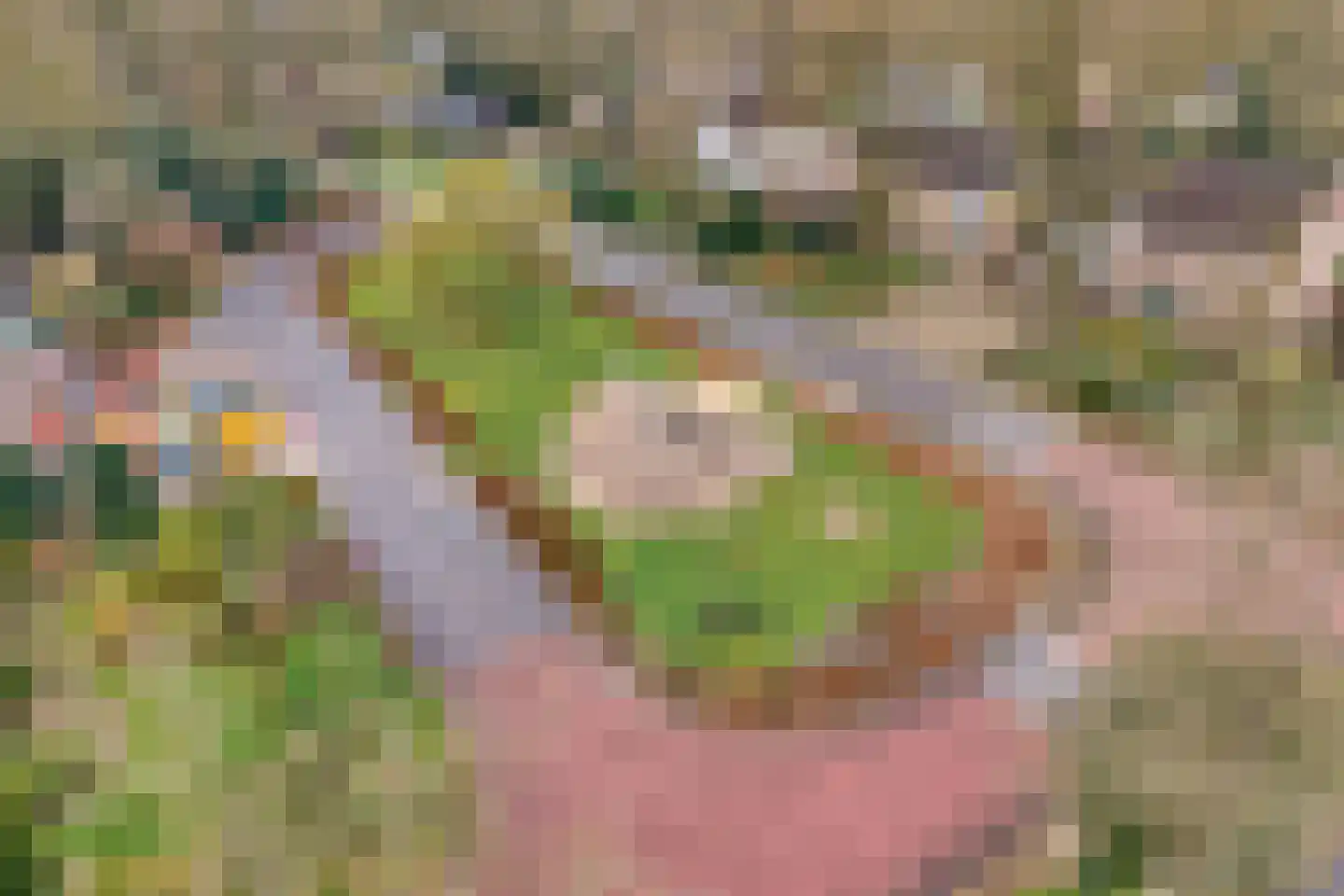 Berkenlaan 4 Hardenberg thumbnail 49