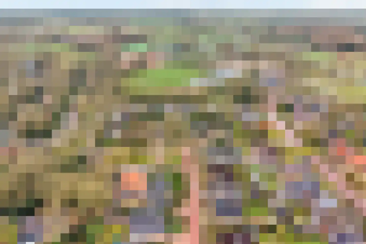 Berkenlaan 4 Hardenberg thumbnail 50