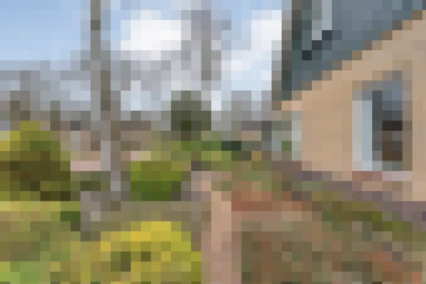 Berkenlaan 4 Hardenberg thumbnail 6