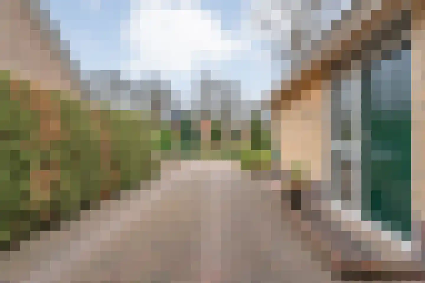 Berkenlaan 4 Hardenberg thumbnail 8