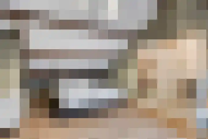 Berkenlaan 4 I Doorwerth thumbnail 20