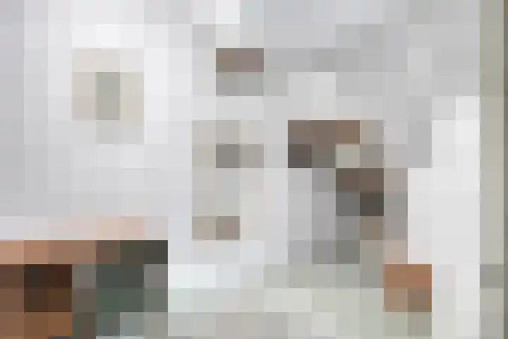 Berkenlaan 4 I Doorwerth thumbnail 23