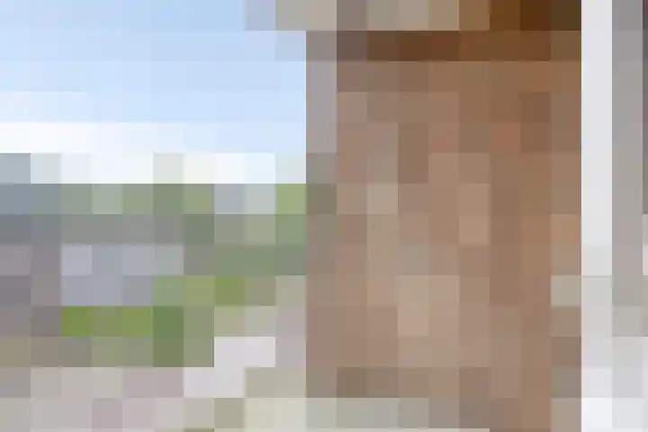 Berkenlaan 4 I Doorwerth thumbnail 25