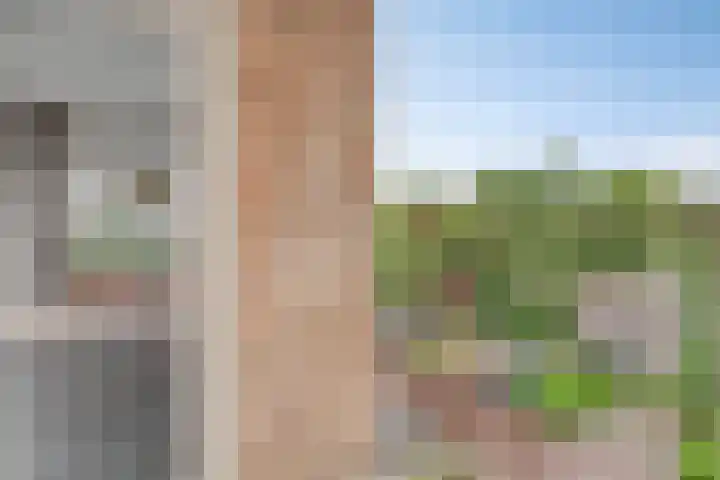 Berkenlaan 4 I Doorwerth thumbnail 26
