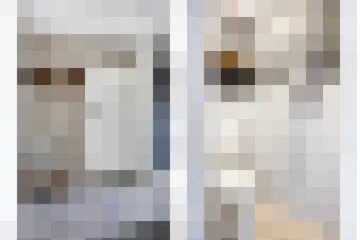 Berkenlaan 4 I Doorwerth thumbnail 6