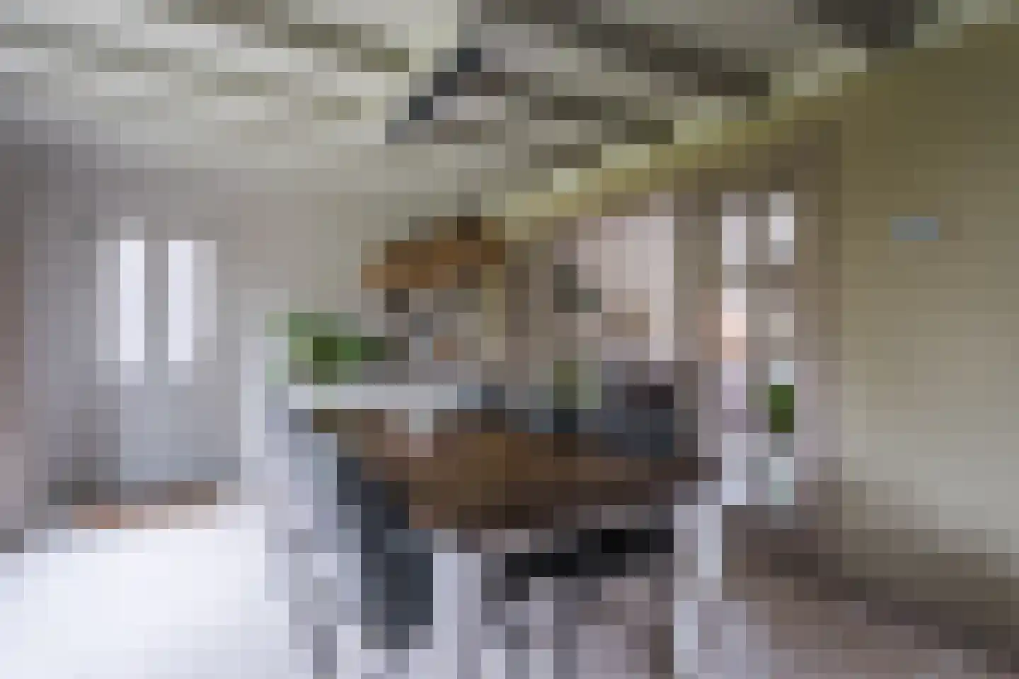 Berkenlaan 4 Scherpenzeel thumbnail 10