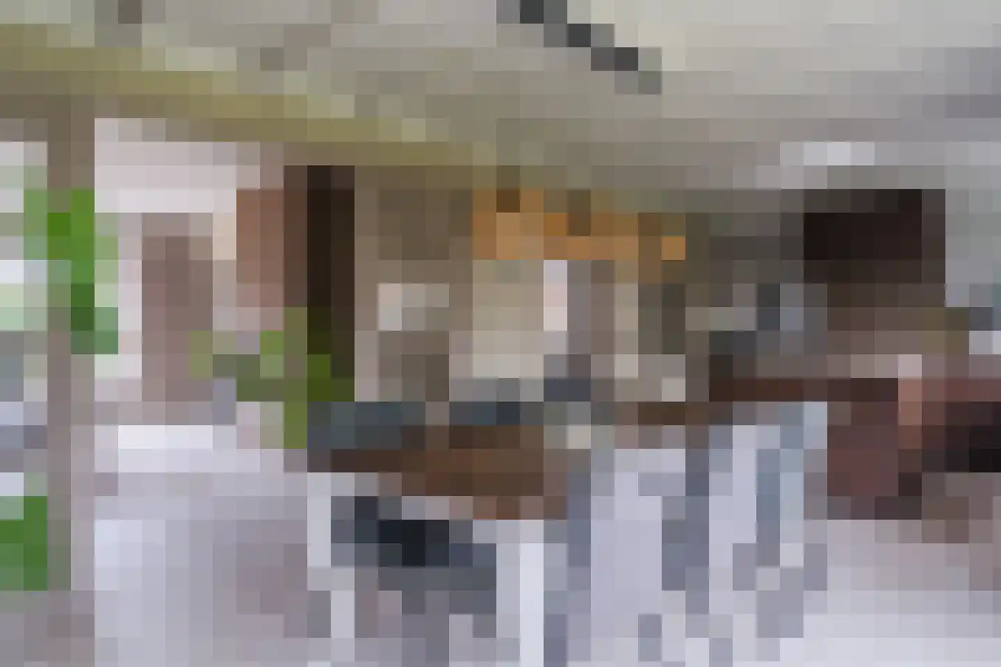 Berkenlaan 4 Scherpenzeel thumbnail 11