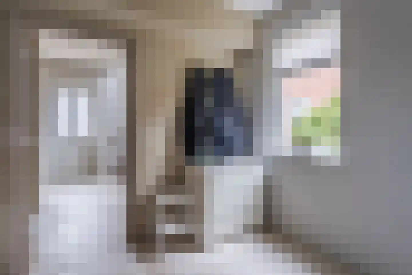 Berkenlaan 4 Scherpenzeel thumbnail 17