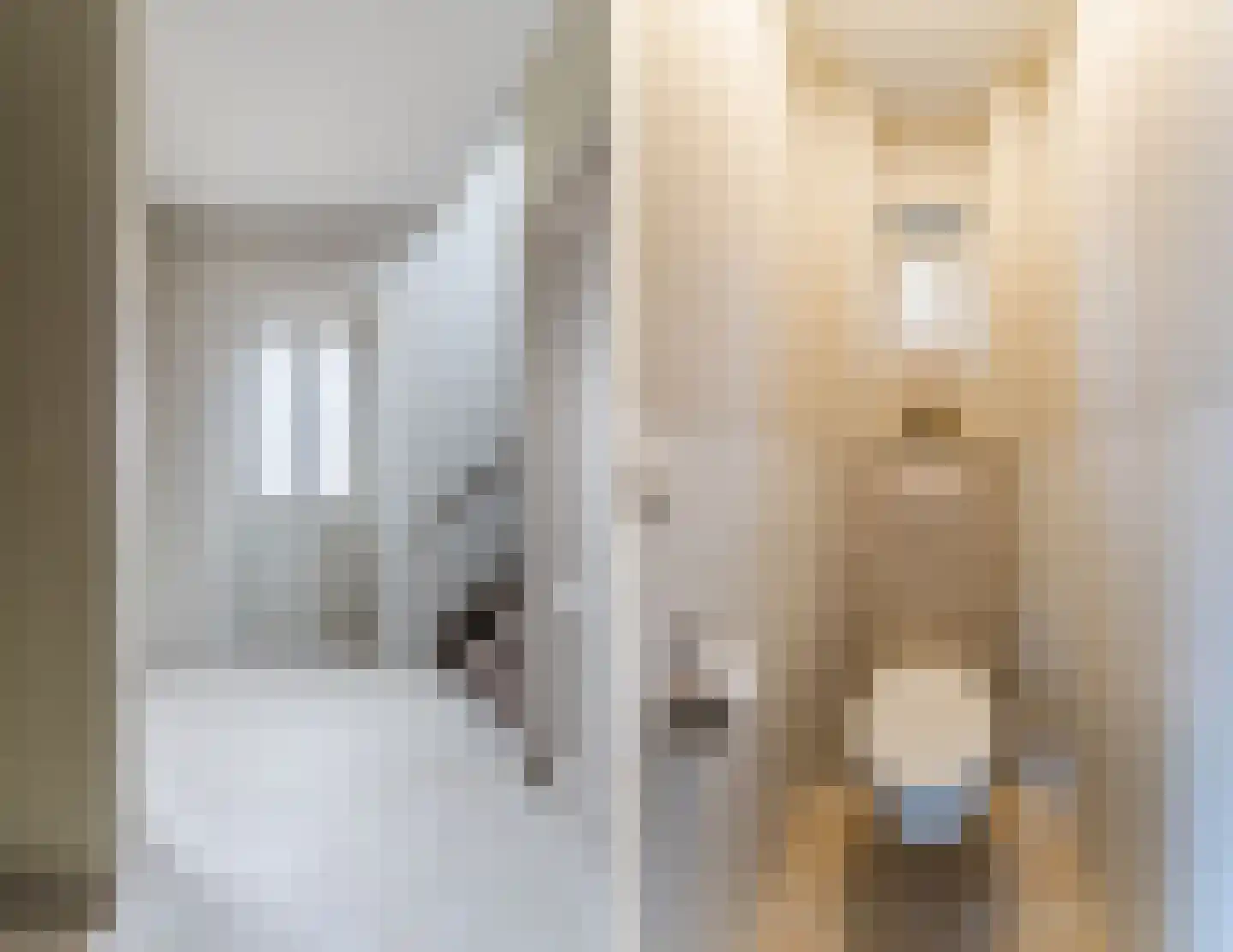 Berkenlaan 4 Scherpenzeel thumbnail 18
