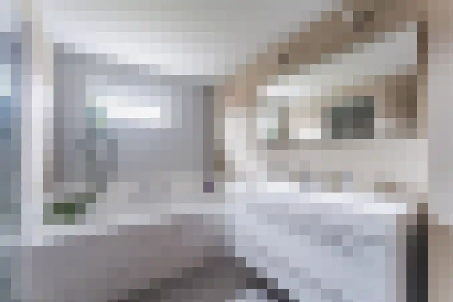 Berkenlaan 4 Scherpenzeel thumbnail 23