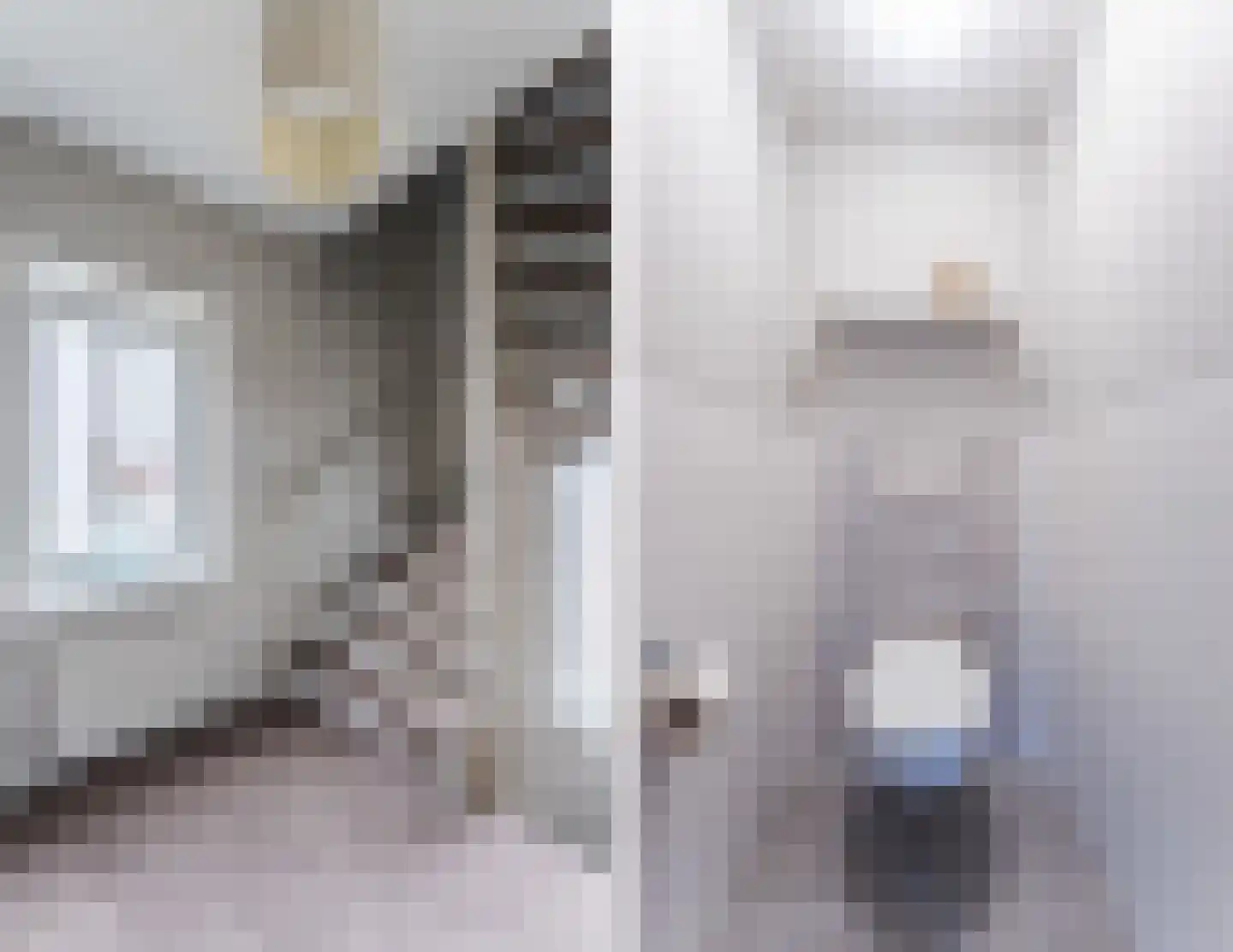 Berkenlaan 4 Scherpenzeel thumbnail 26