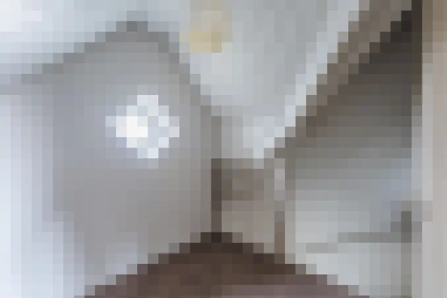 Berkenlaan 4 Scherpenzeel thumbnail 31