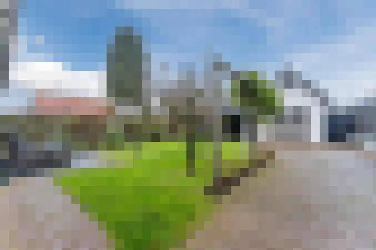 Berkenlaan 4 Scherpenzeel thumbnail 32
