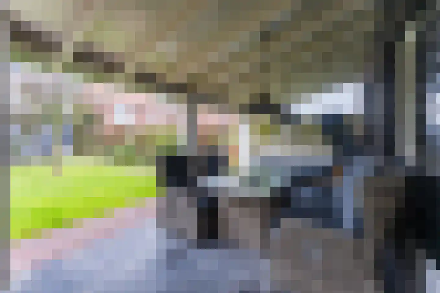 Berkenlaan 4 Scherpenzeel thumbnail 38