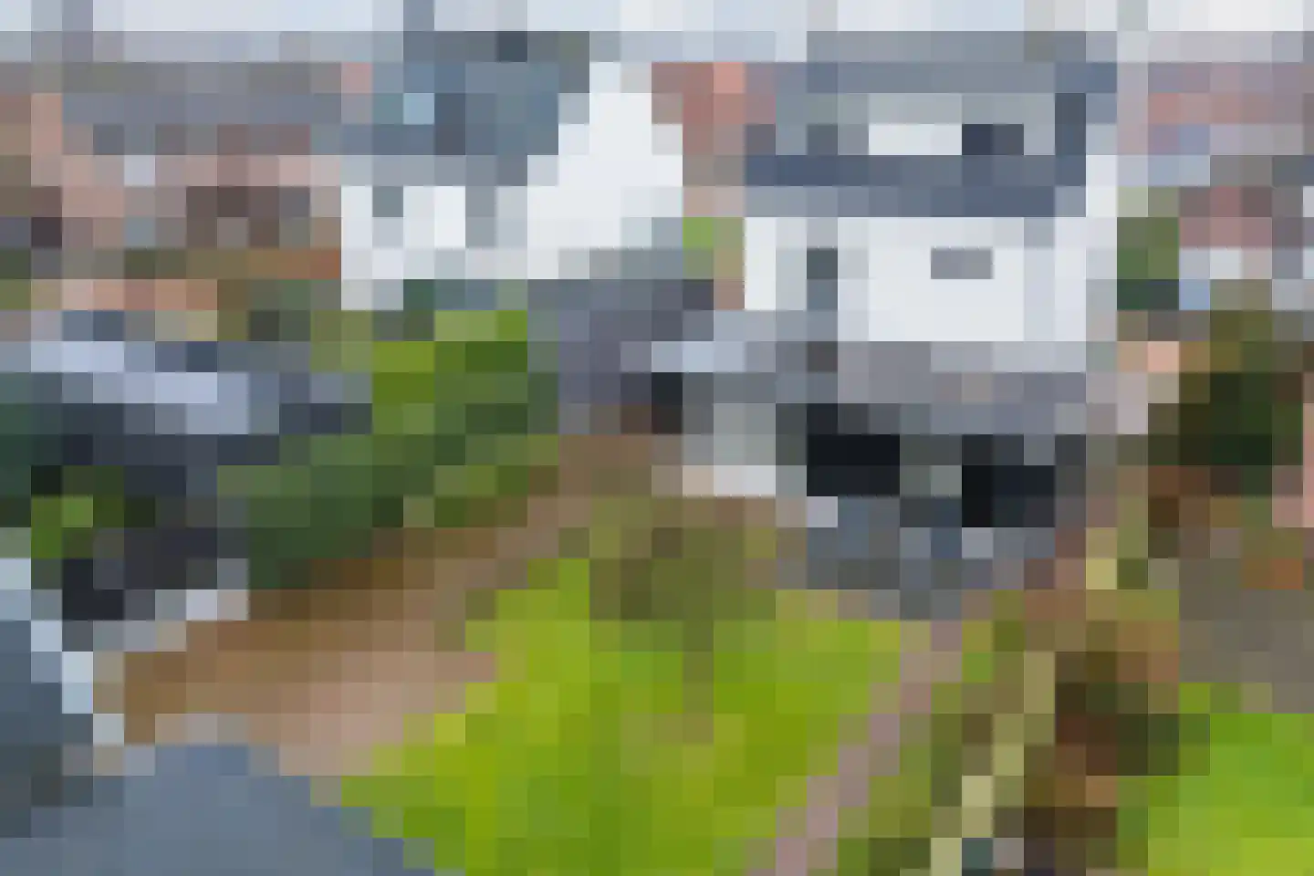 Berkenlaan 4 Scherpenzeel thumbnail 4