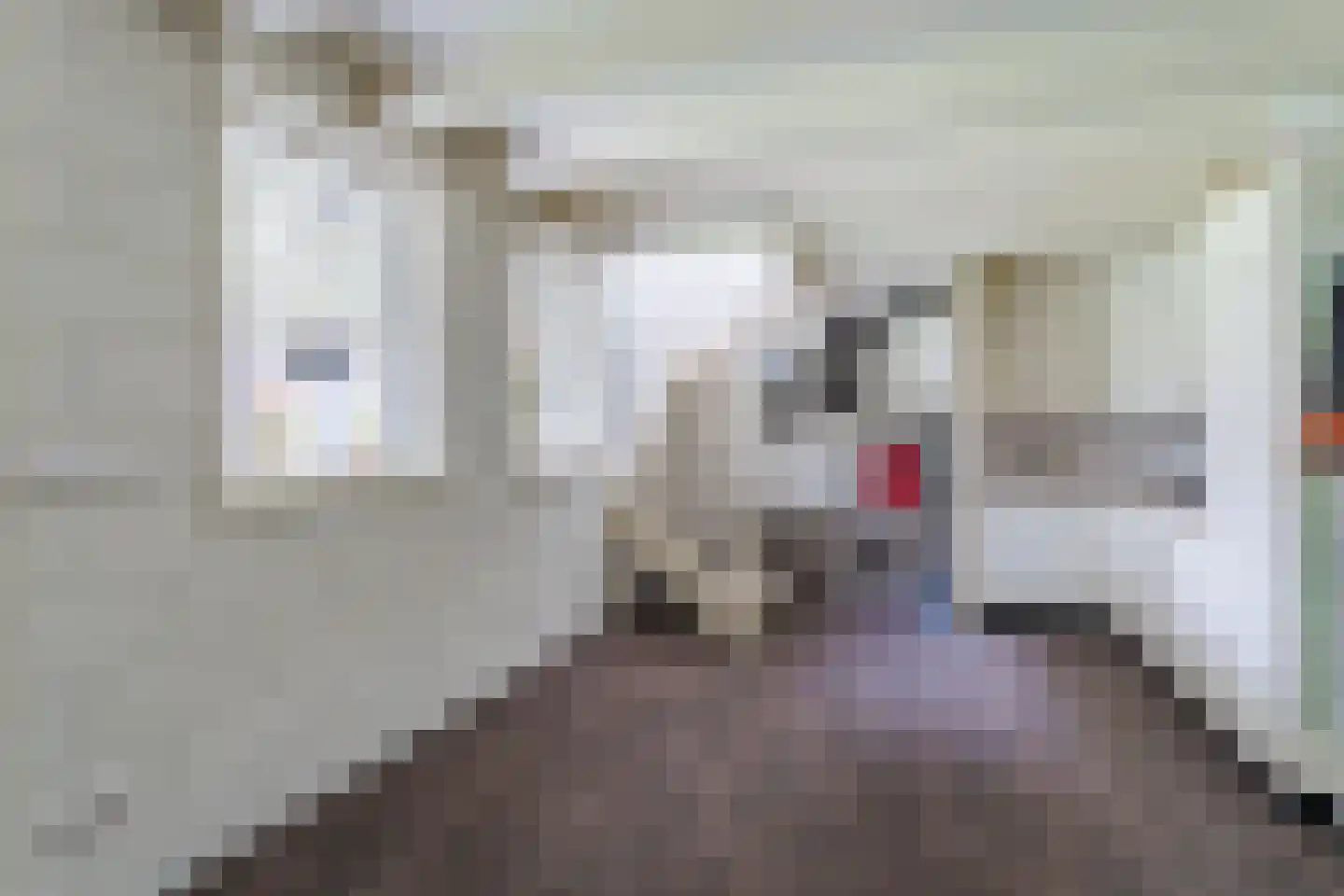 Berkenlaan 4 Scherpenzeel thumbnail 40