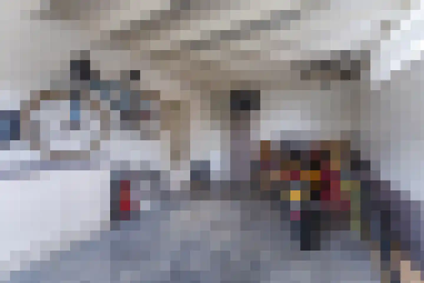 Berkenlaan 4 Scherpenzeel thumbnail 44