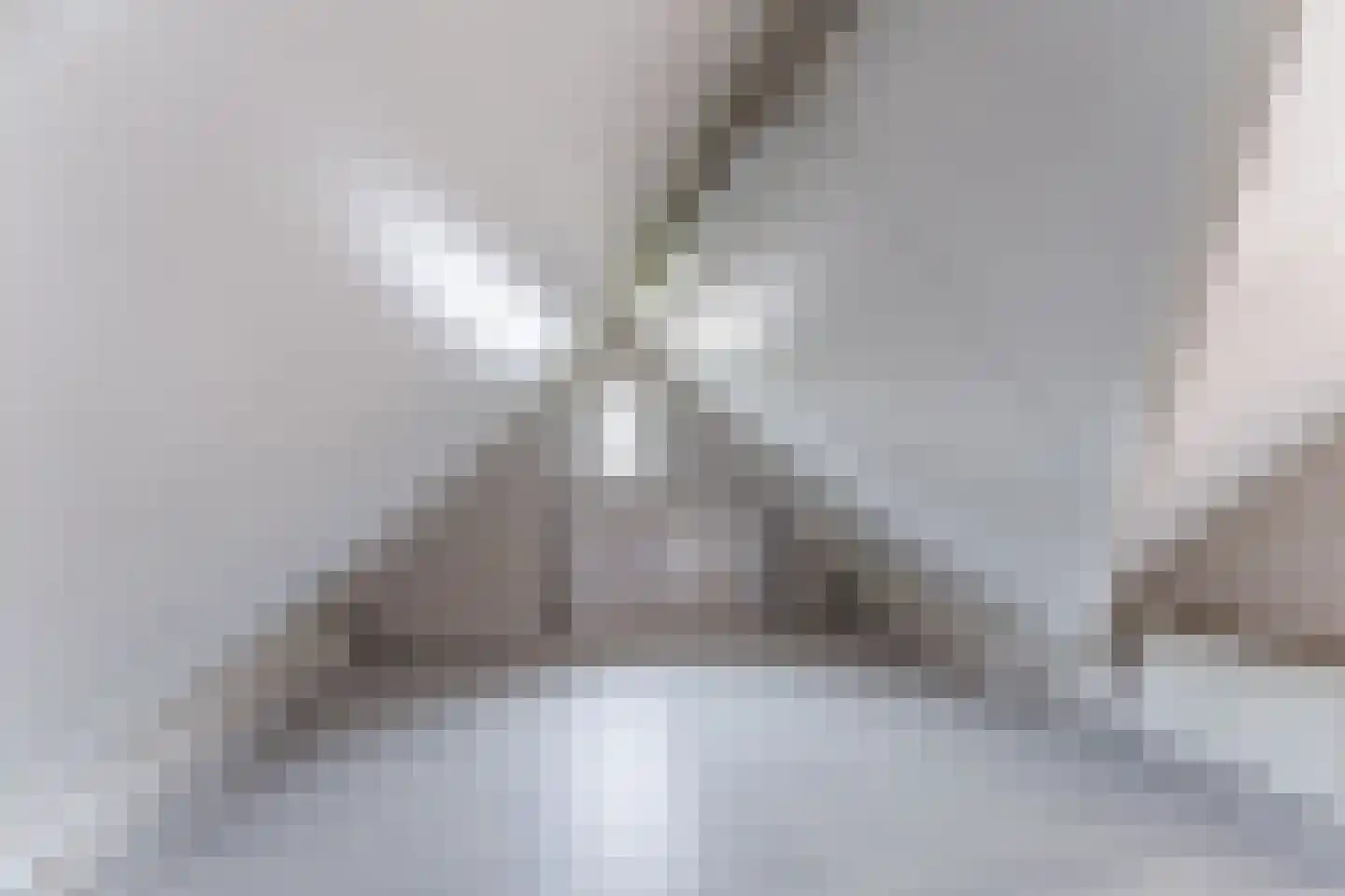 Berkenlaan 4 Scherpenzeel thumbnail 47