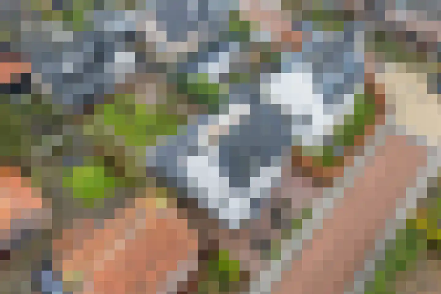 Berkenlaan 4 Scherpenzeel thumbnail 5