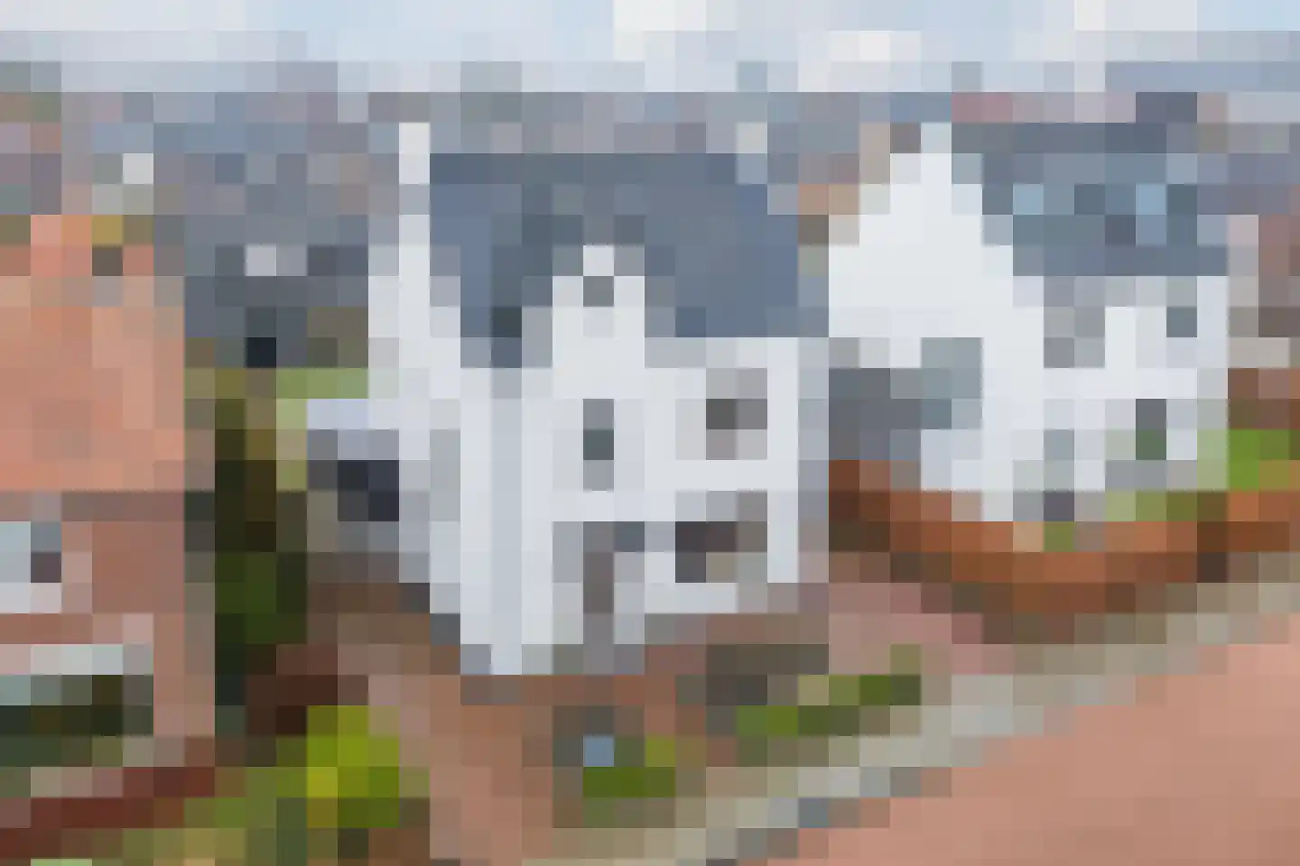 Berkenlaan 4 Scherpenzeel thumbnail 52