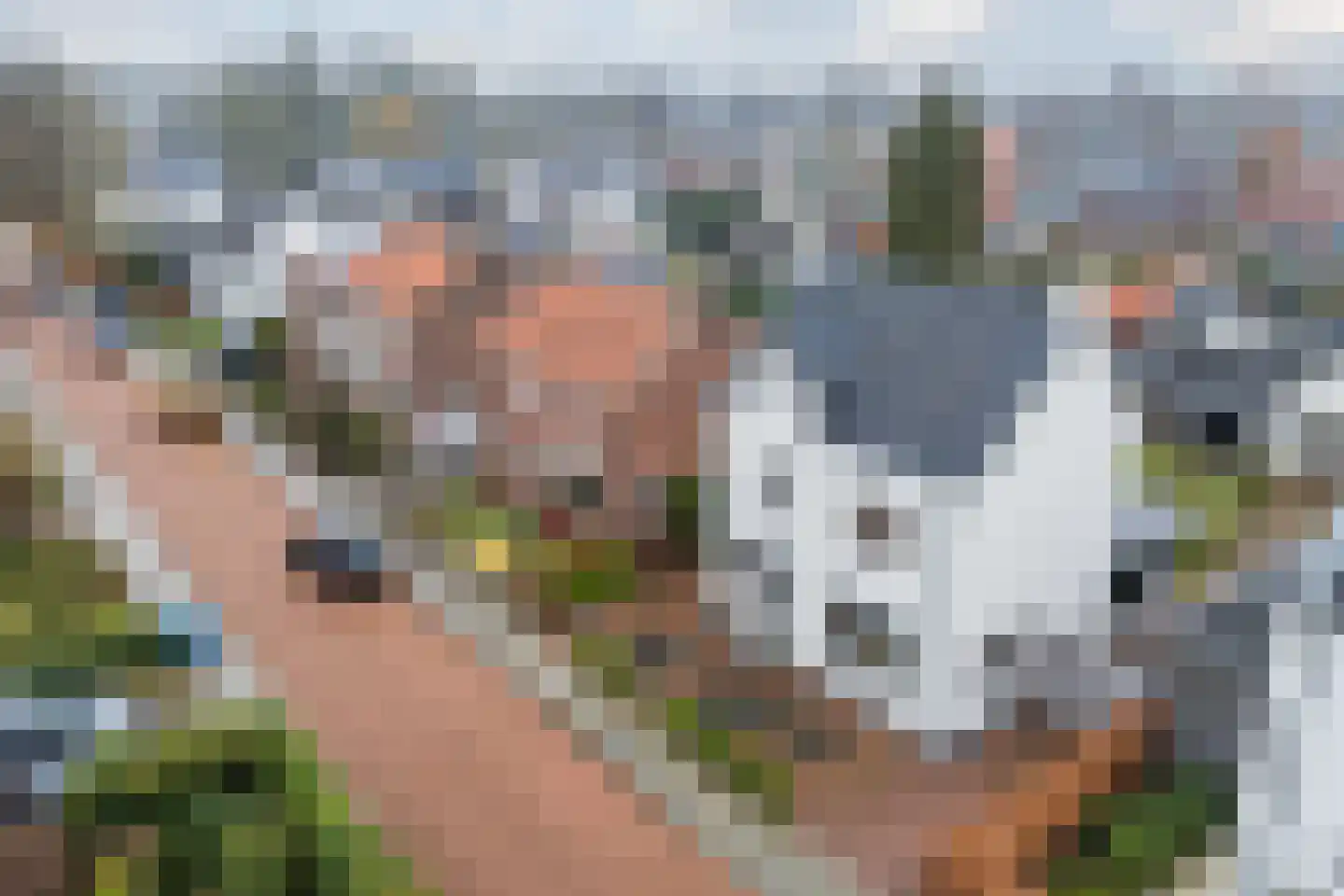Berkenlaan 4 Scherpenzeel thumbnail 53