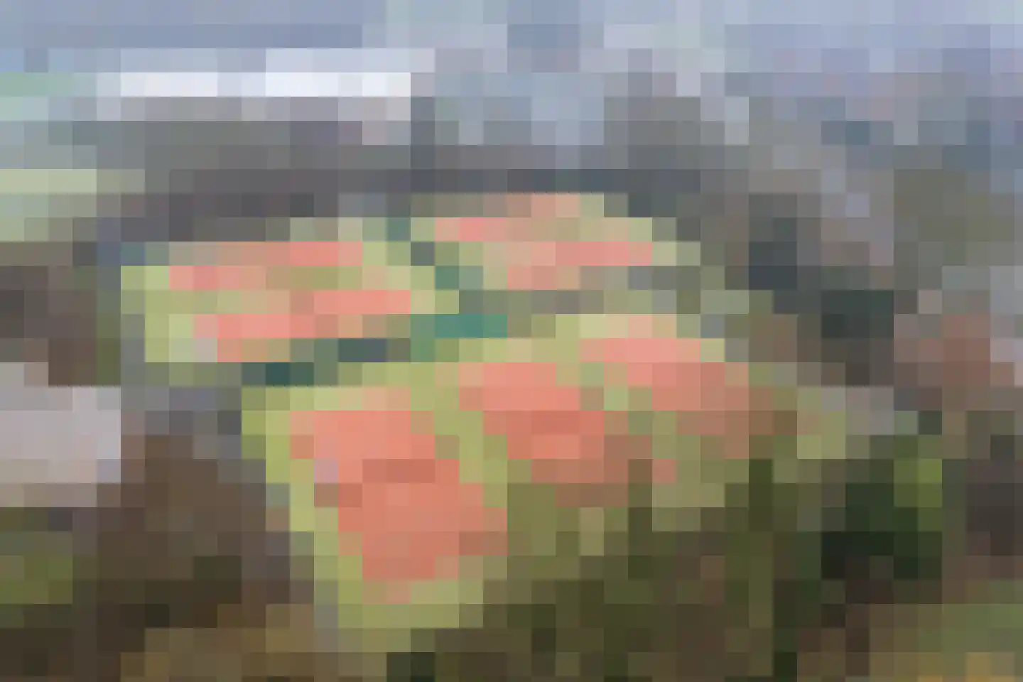 Berkenlaan 4 Scherpenzeel thumbnail 57