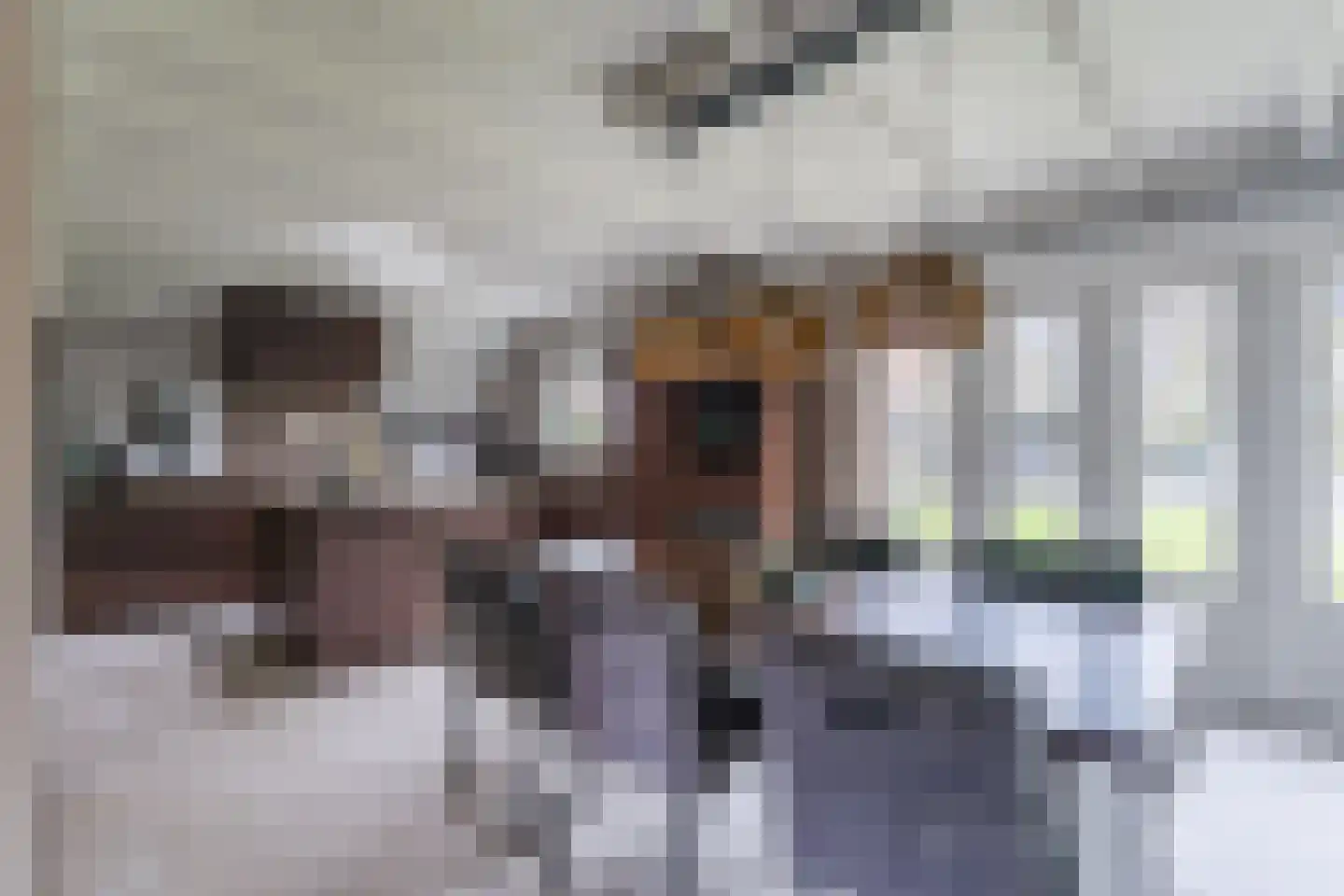 Berkenlaan 4 Scherpenzeel thumbnail 6
