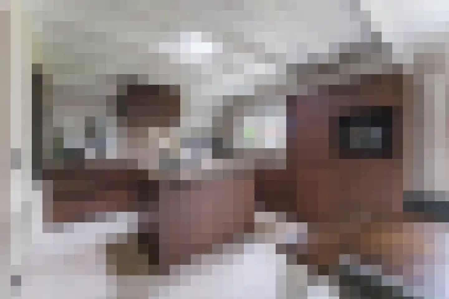 Berkenlaan 4 Scherpenzeel thumbnail 7