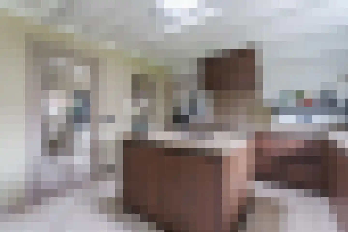 Berkenlaan 4 Scherpenzeel thumbnail 8