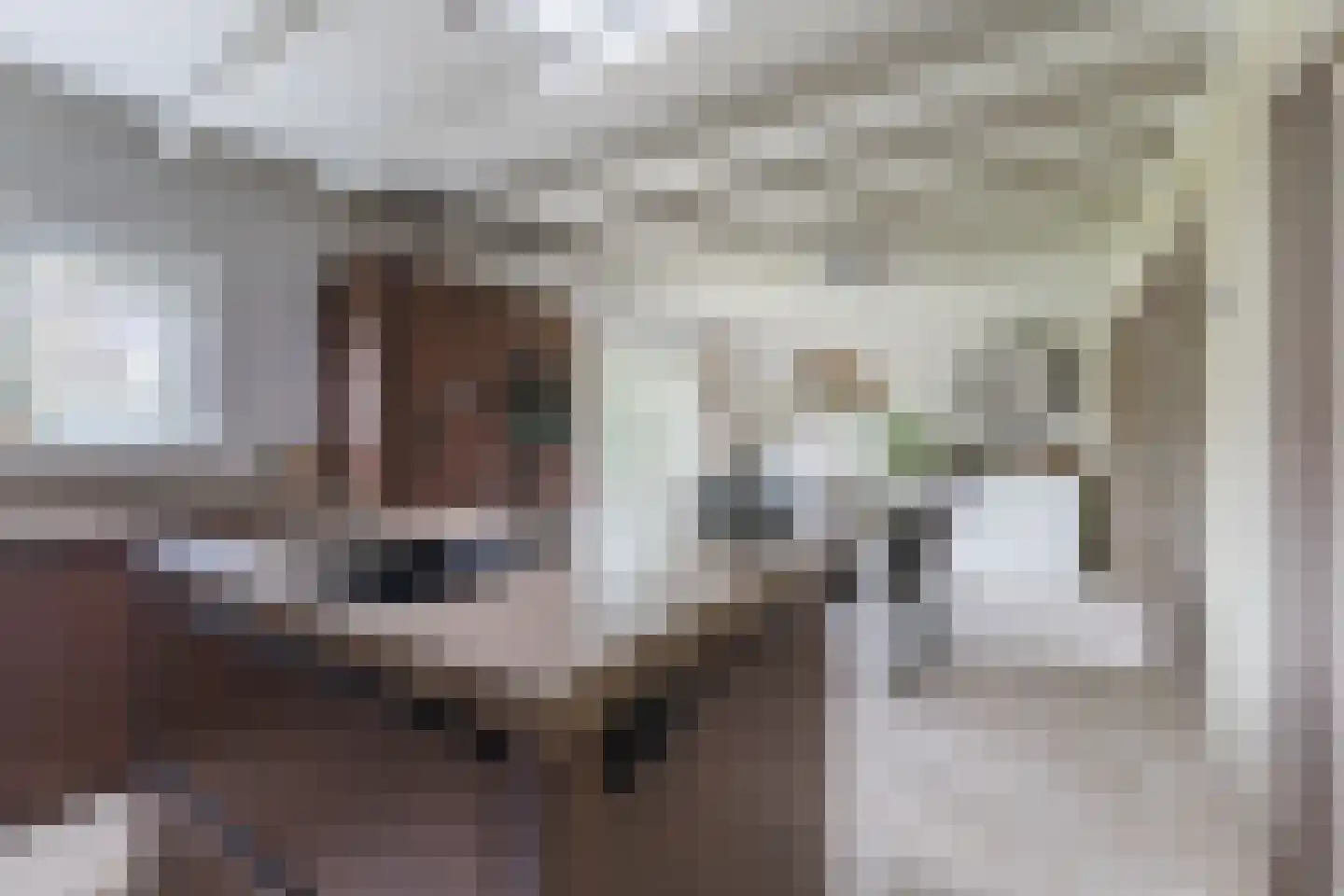 Berkenlaan 4 Scherpenzeel thumbnail 9