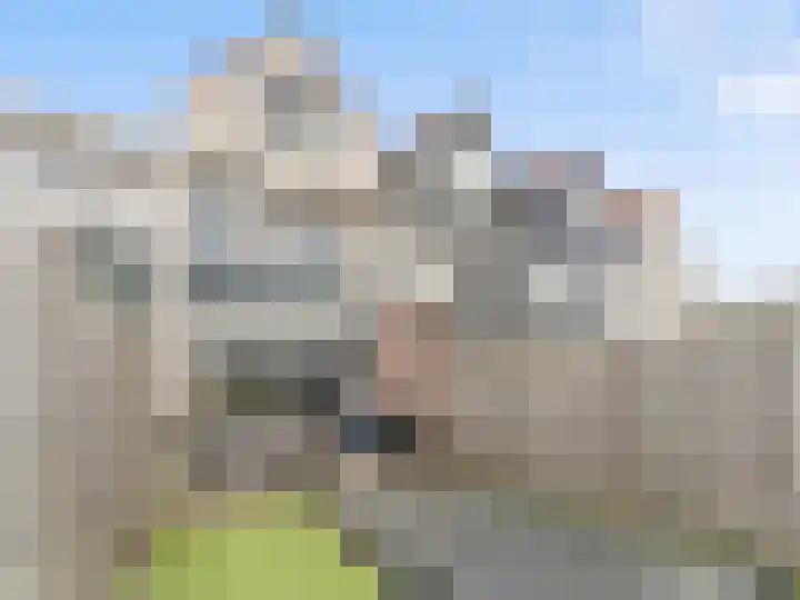 Berkenlaan 40 Harmelen thumbnail 23