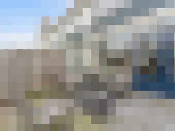 Berkenlaan 40 Harmelen thumbnail 24
