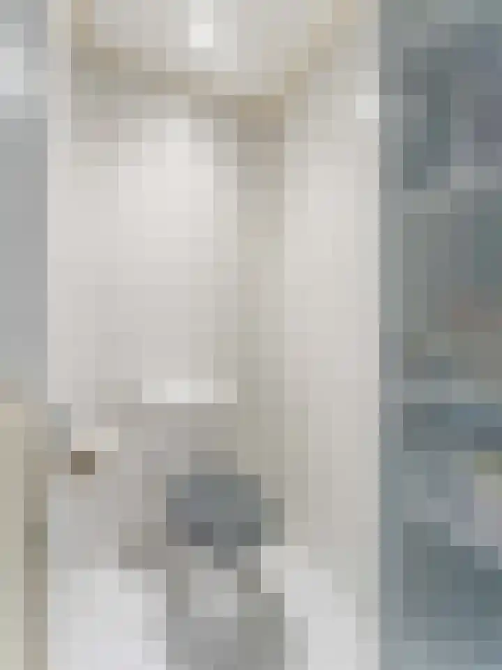 Berkenlaan 40 Harmelen thumbnail 32