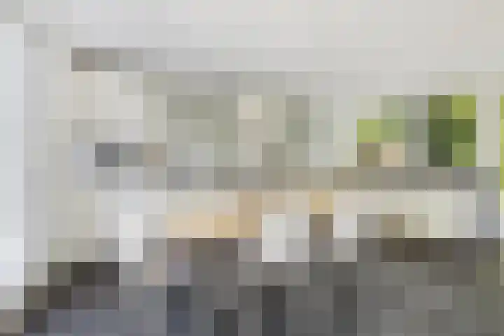 Berkenlaan 41 Duiven thumbnail 11