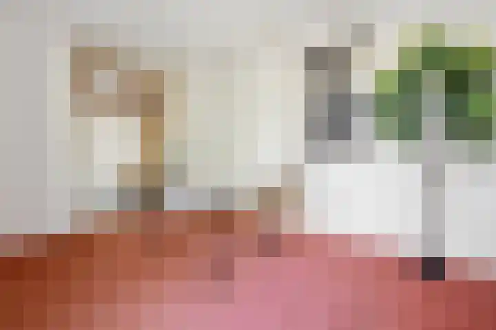 Berkenlaan 41 Duiven thumbnail 20