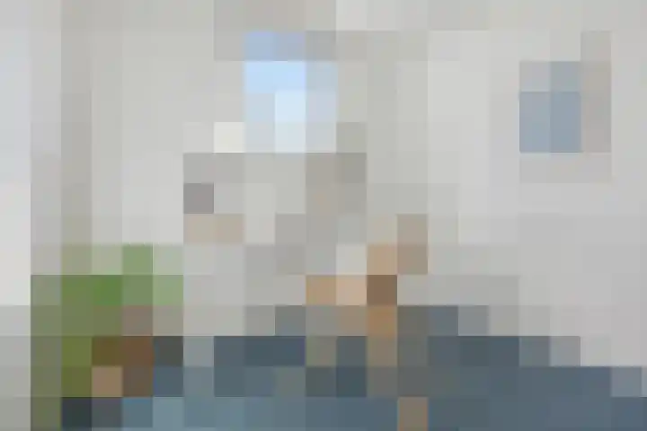 Berkenlaan 41 Duiven thumbnail 27
