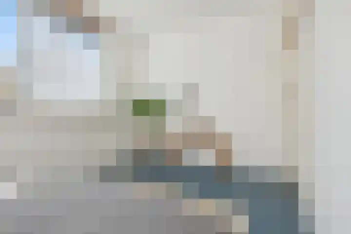 Berkenlaan 41 Duiven thumbnail 31
