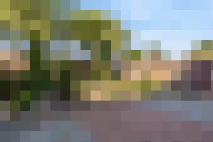 Berkenlaan 41 Duiven thumbnail 37
