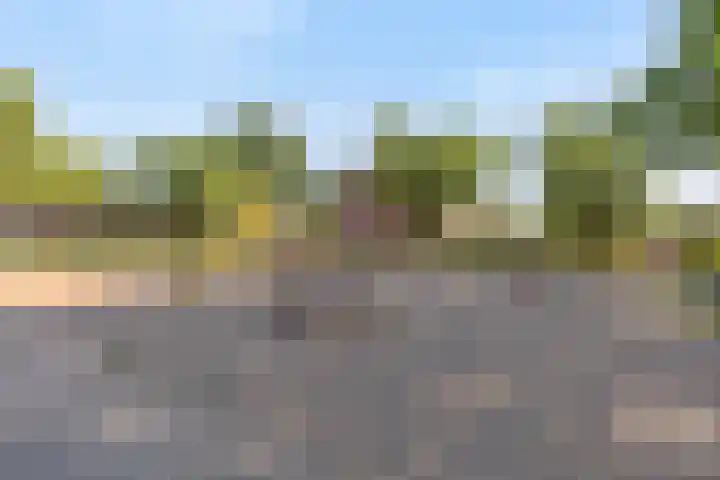 Berkenlaan 41 Duiven thumbnail 41