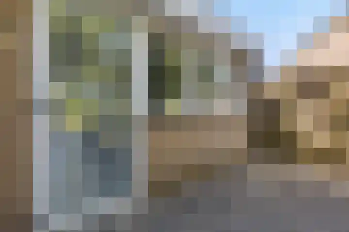 Berkenlaan 41 Duiven thumbnail 43