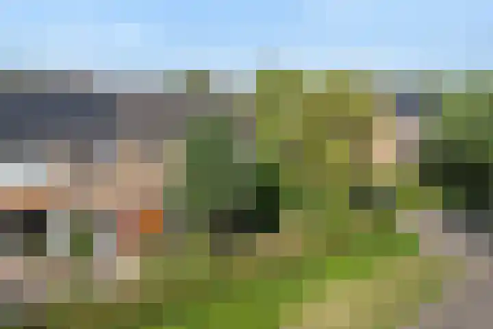 Berkenlaan 41 Duiven thumbnail 45