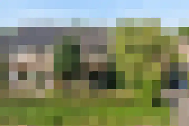Berkenlaan 41 Duiven thumbnail 46