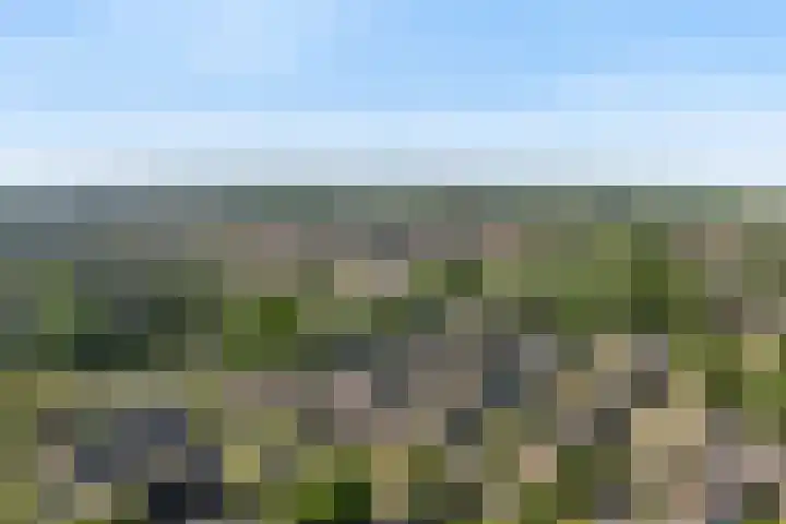 Berkenlaan 41 Duiven thumbnail 48